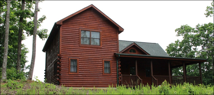 Professional Log Home Borate Application  Macon County, Georgia